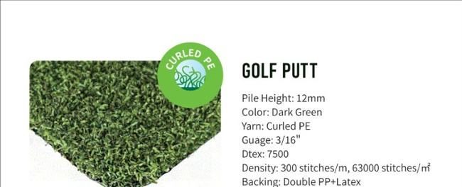 Golf Putt Artificial Grass